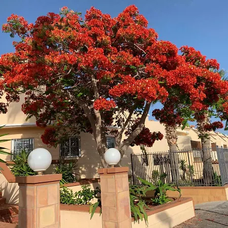 Yucca Park Torviscas דירה Adeje